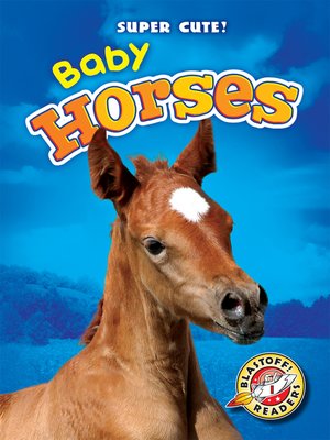 cover image of Baby Horses